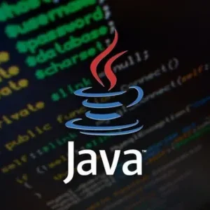 Java Programming