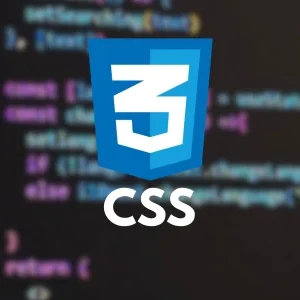 CSS Language
